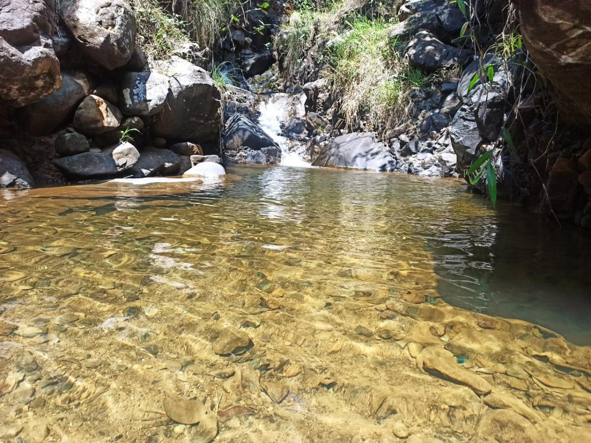 La semana del medio ambiente se toma nuestro parque principal ¡Agéndate! 