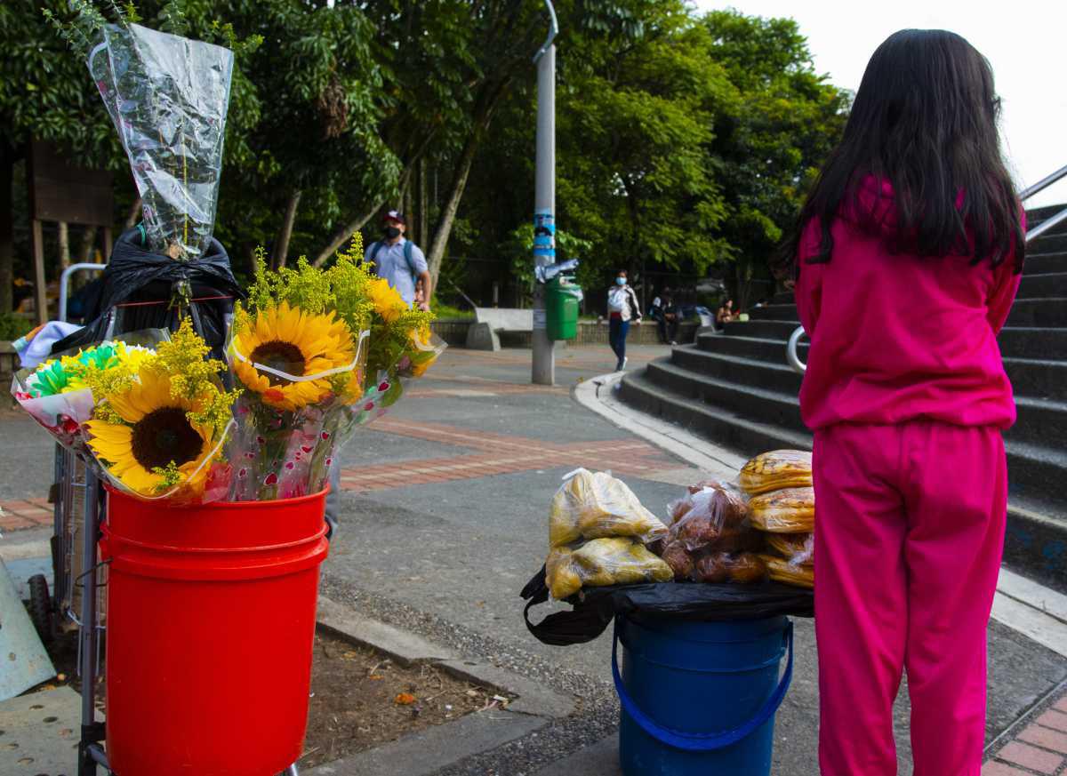 Con más de 8.500 procesos de formación en la comunidad, Medellín contrarresta el trabajo infantil