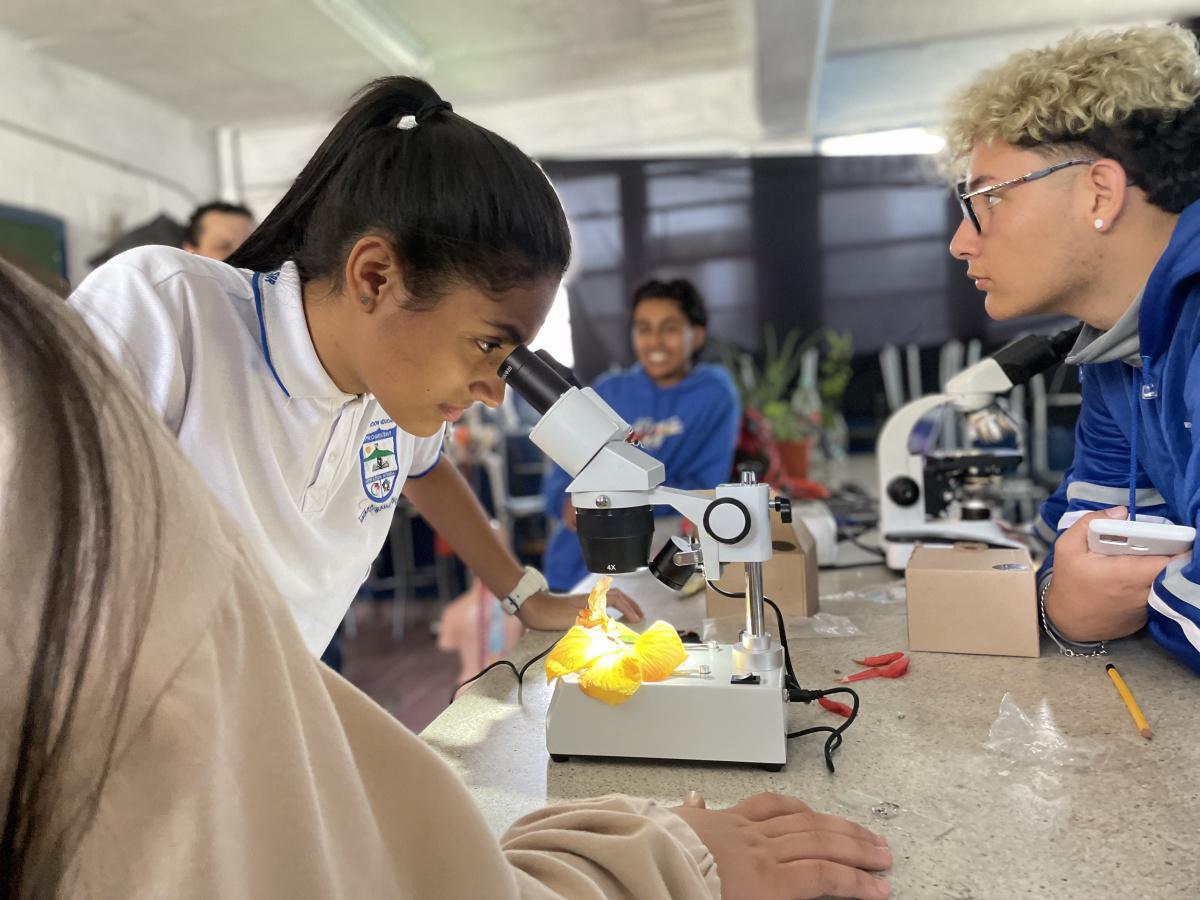 Después de ocho años, Medellín alcanza de nuevo un 100 % en la gestión de cobertura educativa