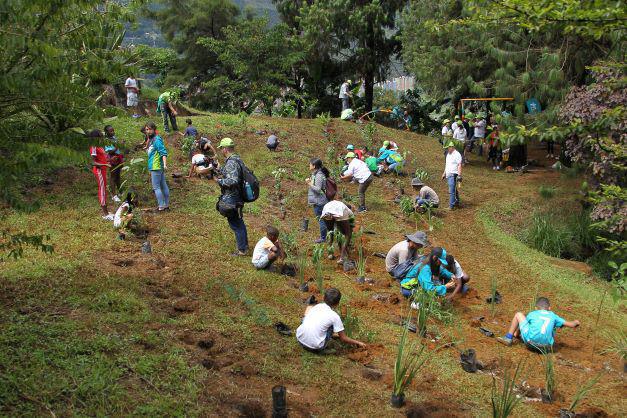Con sembratón de 1.115 árboles y plantas hospederas mejora la calidad del aire en el Ecoparque Las Tinajas 