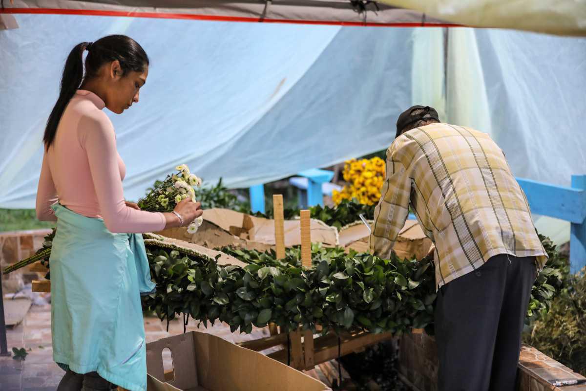 Regresan los concursos de la Feria de Flores que reconocerán la belleza, el color y la creatividad de las tradiciones paisas