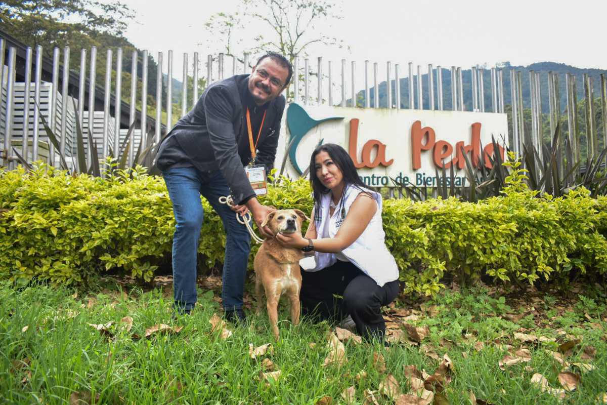 El procurador de Protección Ambiental de Quintana Roo (México) visitó La Perla para conocer los programas de bienestar animal de Medellín