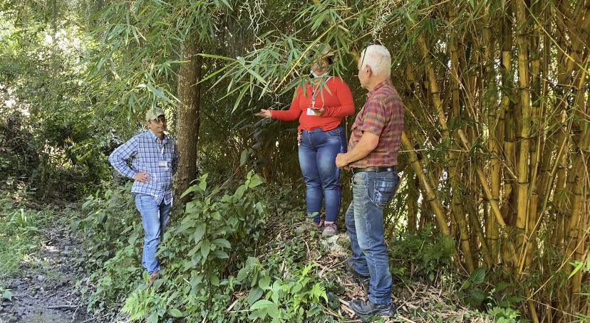 Con nuevos canales digitales, 3.200 productores rurales recibirán asistencia técnica agropecuaria sin costo por parte del Distrito Con nuevos canales digitales, 3.200 productores rurales recibirán asistencia técnica agropecuaria sin costo por parte del Distrito