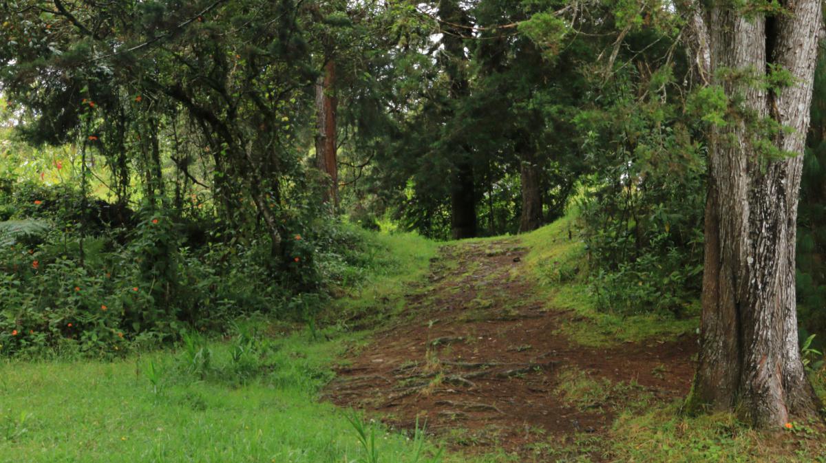 La Administración Distrital avanza en la consolidación de la ecociudad con el cuidado de 734 hectáreas de áreas protegidas La Administración Distrital avanza en la consolidación de la ecociudad con el cuidado de 734 hectáreas de áreas protegidas
