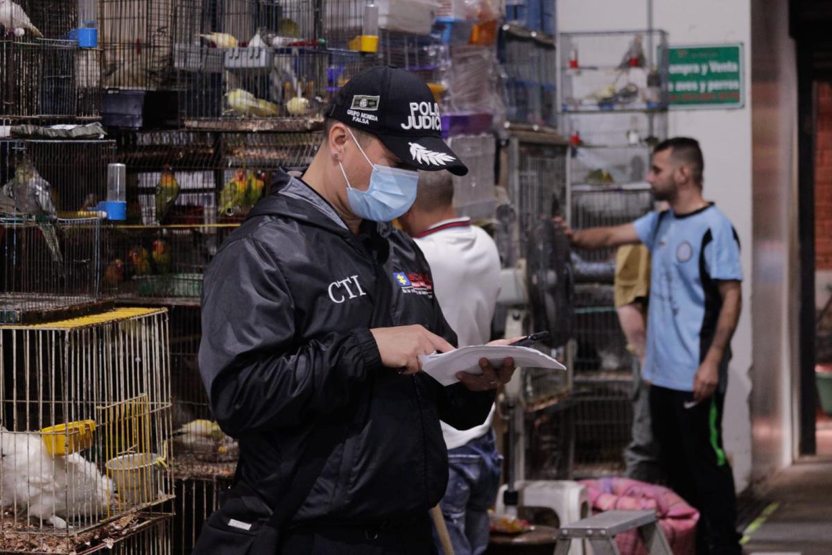 Autoridades rescataron a 20 animales en riesgo durante intervención articulada en la Plaza Minorista