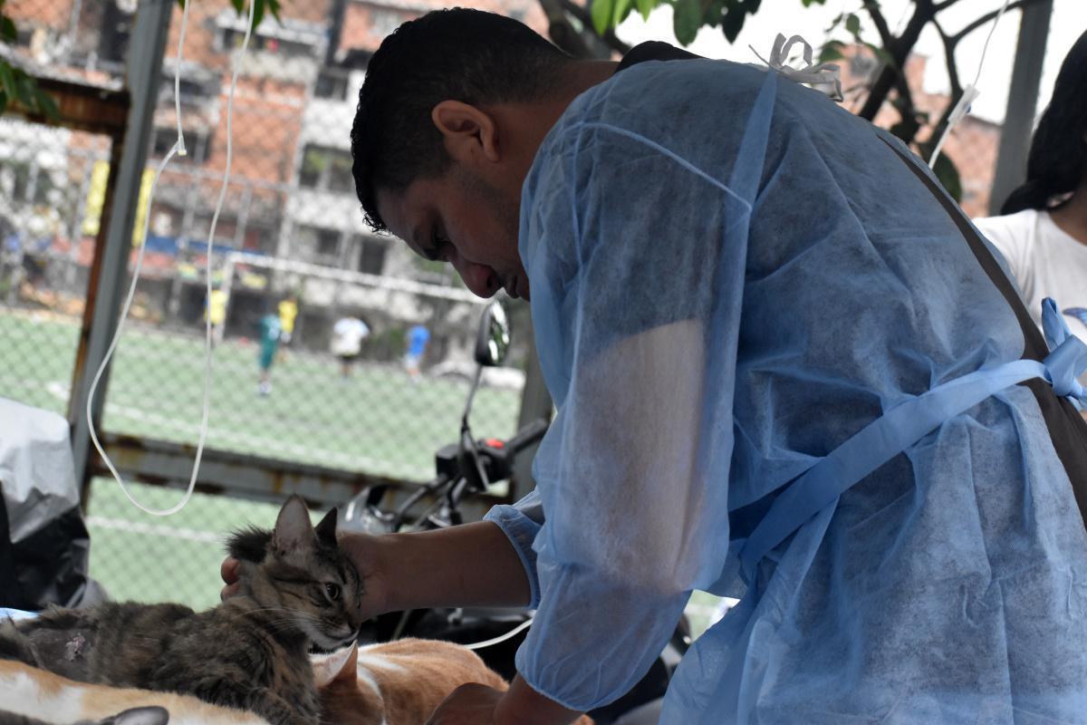 Este sábado se cumplirá nueva jornada de esterilizaciones y adopciones de animales de compañía Este sábado se cumplirá nueva jornada de esterilizaciones y adopciones de animales de compañía