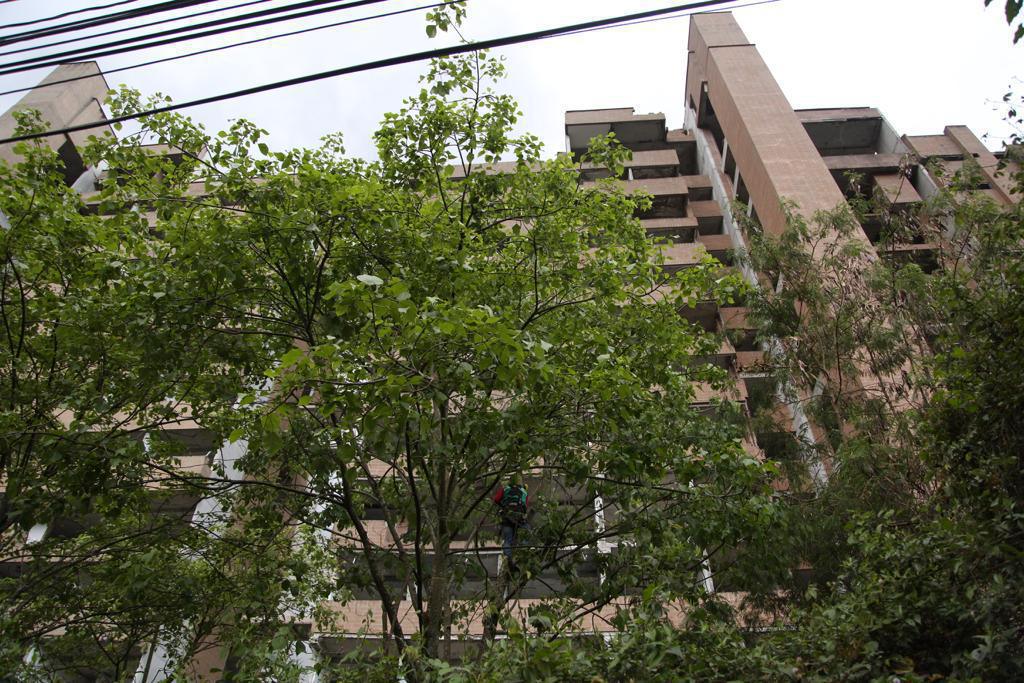 Alcaldía de Medellín acompañó el rescate y ahuyentamiento de fauna silvestre en sectores aledaños al edificio Continental Towers Alcaldía de Medellín acompañó el rescate y ahuyentamiento de fauna silvestre en sectores aledaños al edificio Continental Towers