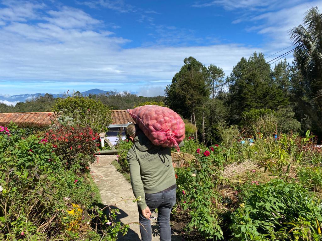 Productores agrícolas afectados por la ola invernal en Medellín reciben insumos para la protección y recuperación de sus cultivos