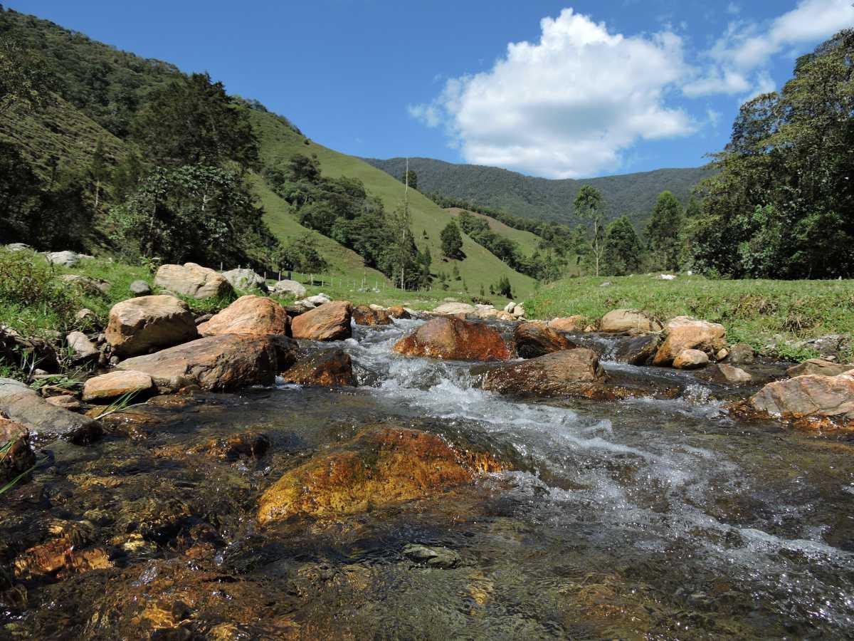 La Alcaldía de Medellín hace recomendaciones para proteger las reservas naturales debido al incremento de visitantes en inicio de año