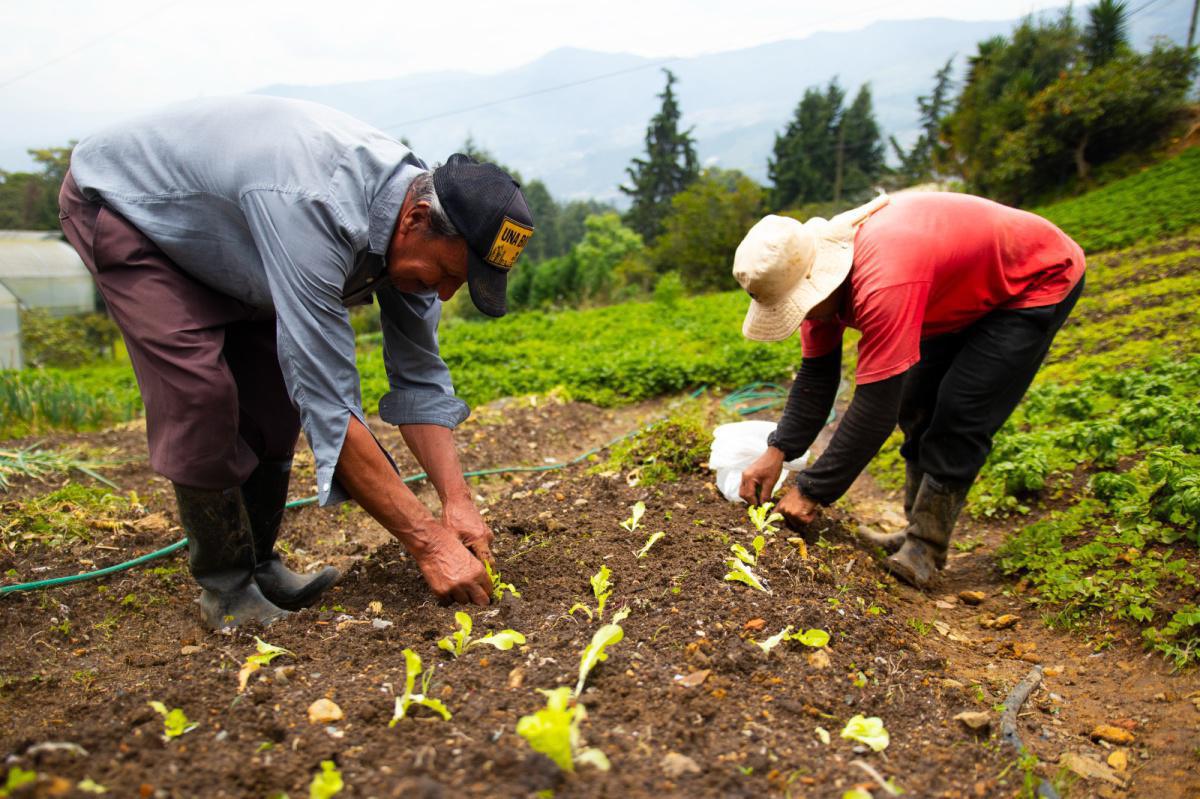 Más de 2.000 agricultores de los corregimientos de Medellín fortalecerán la producción sostenible con la implementación del Distrito Rural Campesino Más de 2.000 agricultores de los corregimientos de Medellín fortalecerán la producción sostenible con la implementación del Distrito Rural Campesino