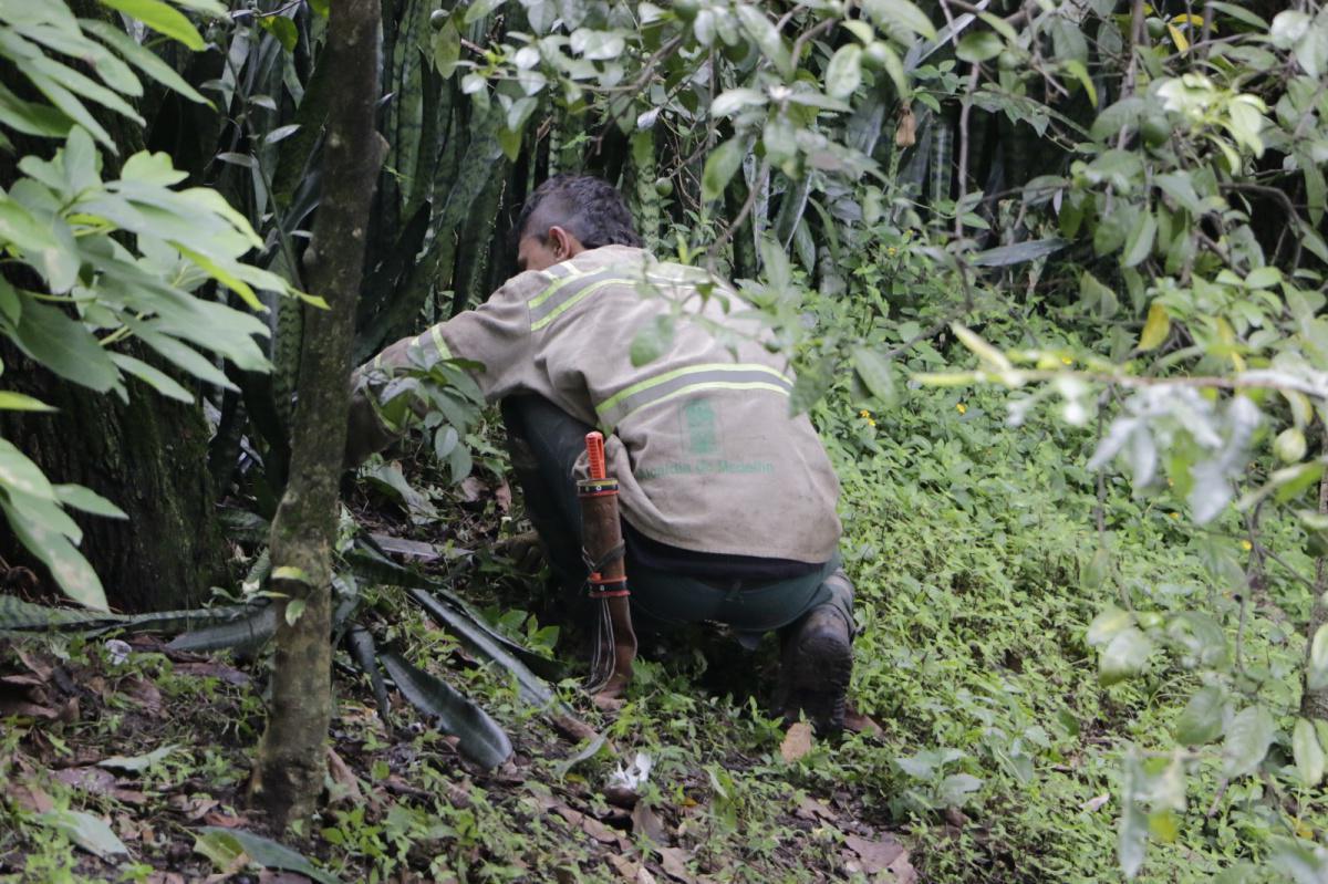 Con la sensibilización de 3.000 personas, Medellín avanza en la conservación de espacios verdes en las comunas y corregimientos