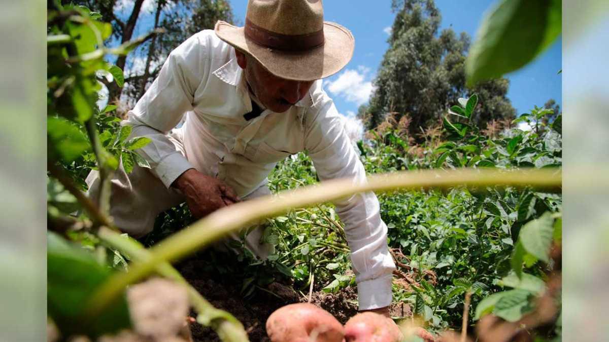 Ministra de Agricultura llama a marchar por Reforma Laboral y Consulta Popular Ministra de Agricultura llama a marchar por Reforma Laboral y Consulta Popular