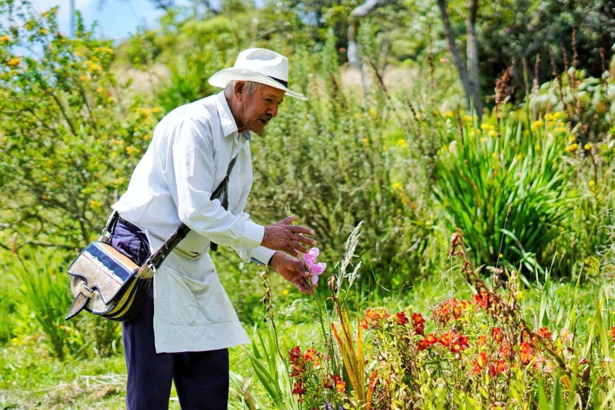 Medellín crea Consejo de Patrimonio: nuevo guardian de la memoria cultural de la ciudad Medellín crea Consejo de Patrimonio: nuevo guardian de la memoria cultural de la ciudad