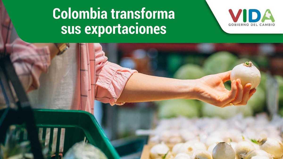 Colombia Le Está Cambiando el Rostro a Sus Exportaciones: Menos Petróleo, Más Industria