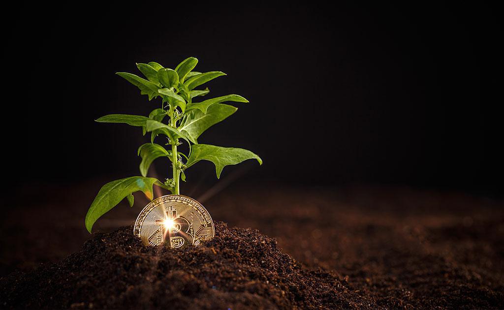 Most Needed Growth Manoeuvres for Any Business 