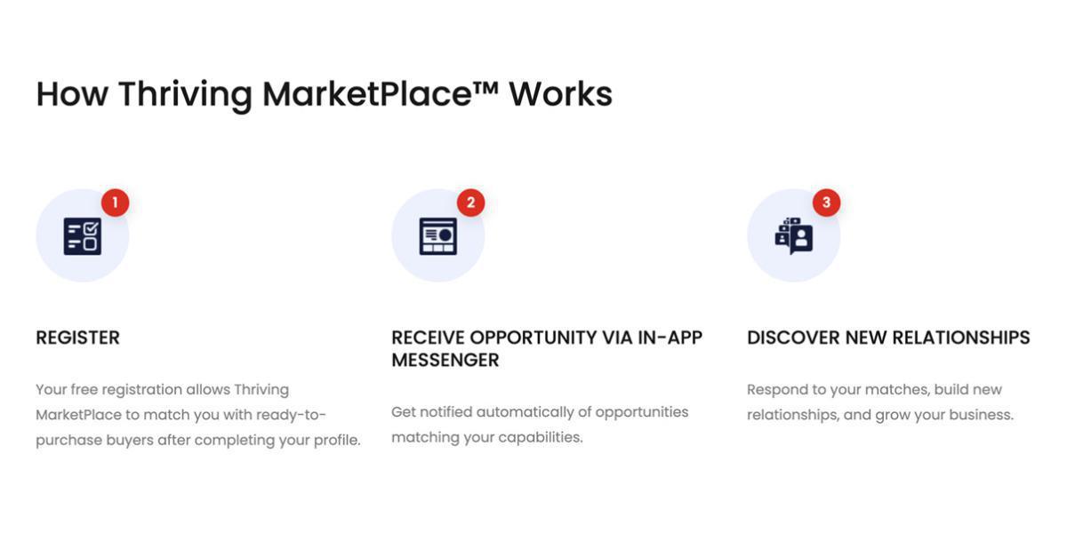 Thriving MarketPlace the next gen digital access to funding and procurement for SMMEs Thriving MarketPlace the next gen digital access to funding and procurement for SMMEs