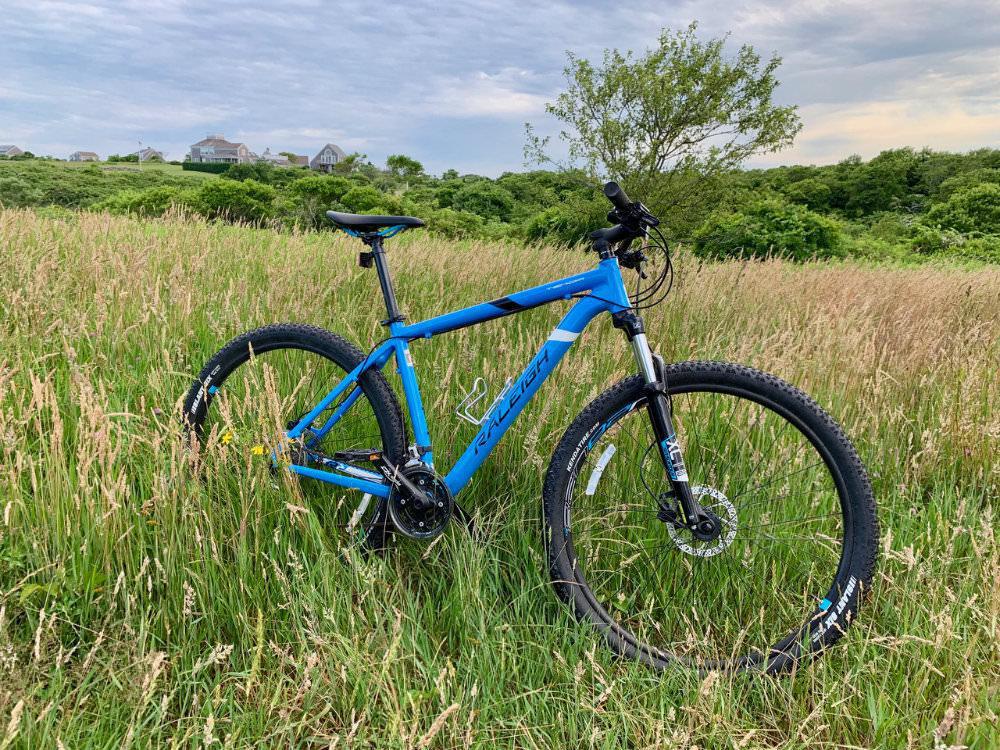 Beach Rose Bicycles