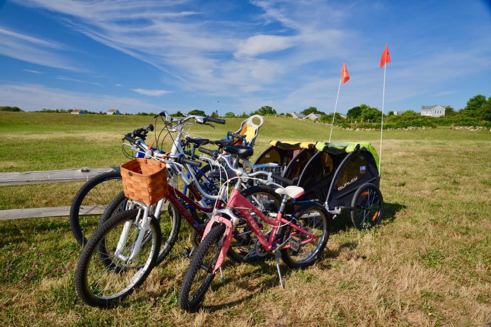 Beach Rose Bicycles