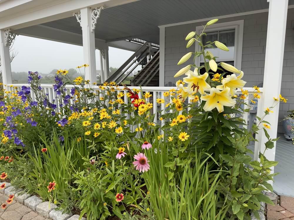 Rose Farm Inn Rose Farm Inn