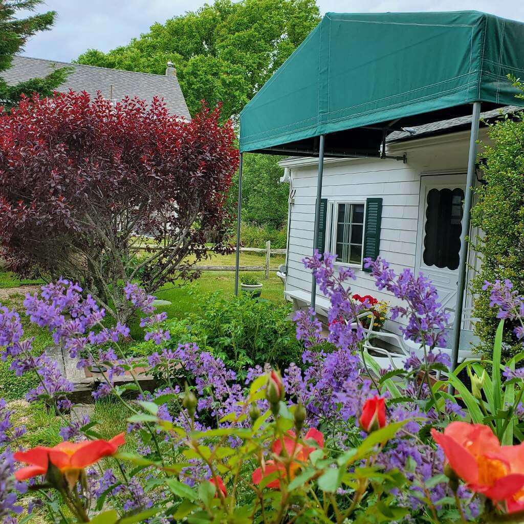 The Harbourview Guest House & Cottages The Harbourview Guest House & Cottages