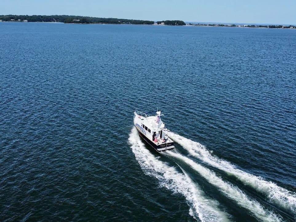 Sea Dog Cruising Sea Dog Cruising