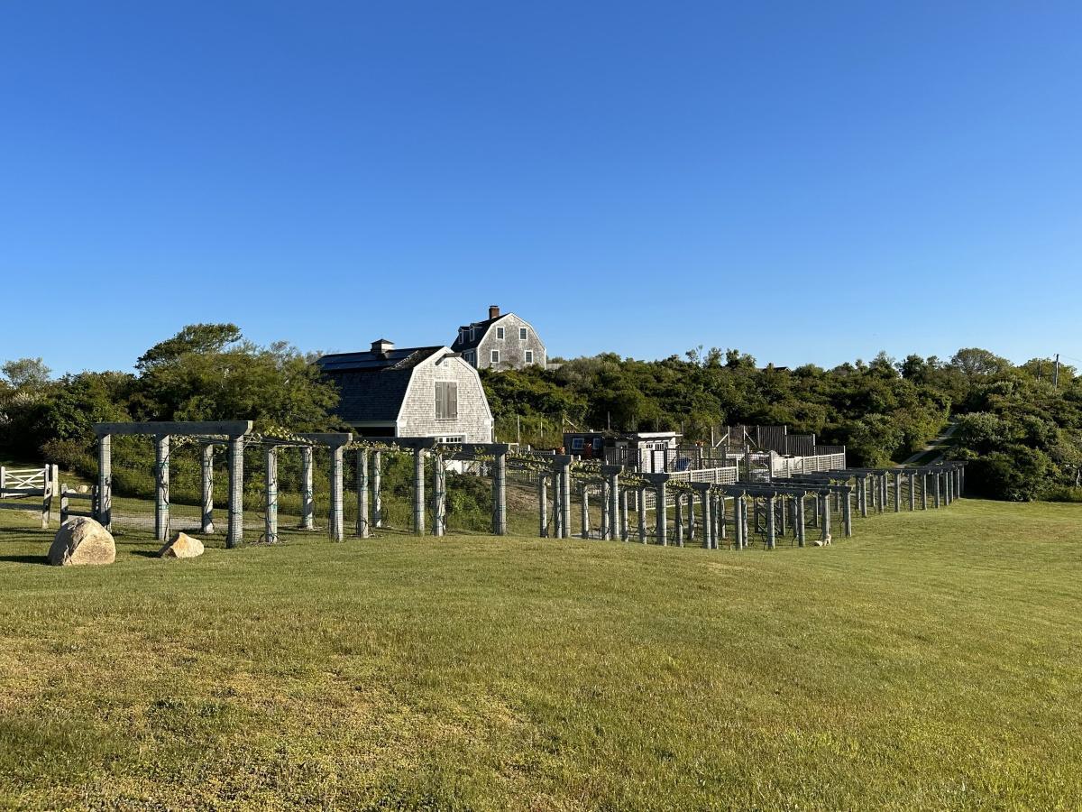 Spar Point Farm