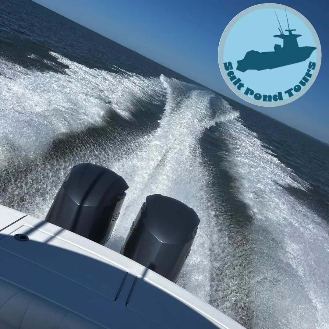 Salt Pond Tours