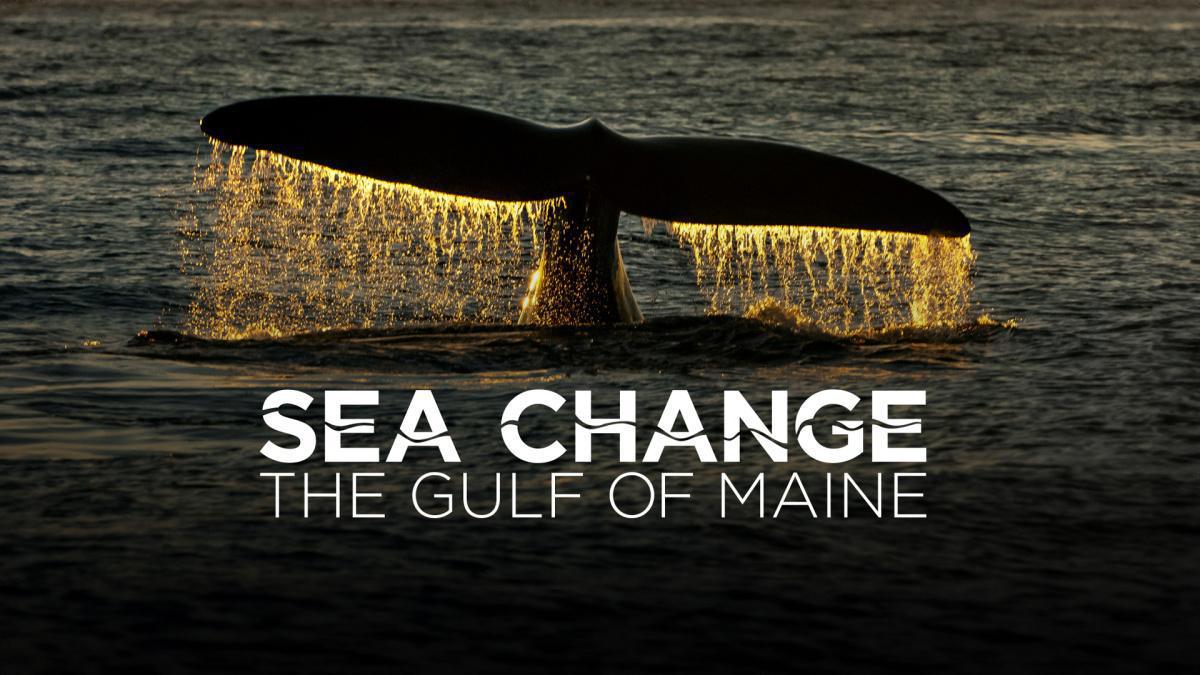 Film & Soup at Island Free Library Film & Soup at Island Free Library