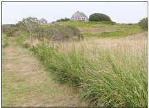 BI Bird Stories Dickens Farm Nature Walk