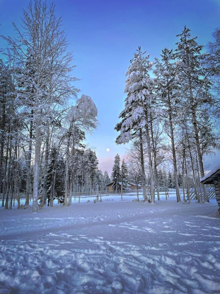 Finnish the Year in Finland Finnish the Year in Finland