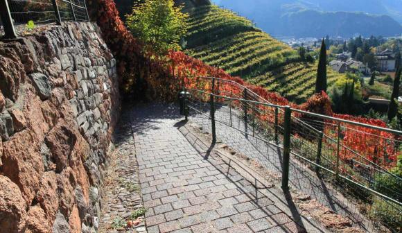 La Passeggiata di S. Osvaldo