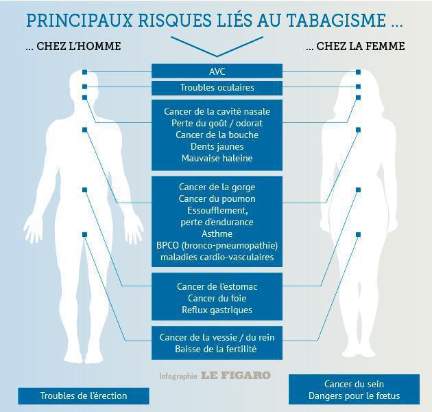 Les effets néfastes du tabac Les effets néfastes du tabac
