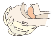 L'INCONSCIENCE L'INCONSCIENCE