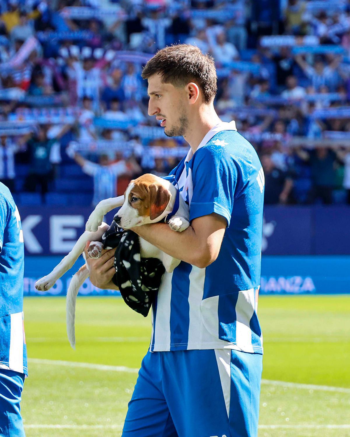 En Espagne, des joueurs de foot entrent sur le terrain avec des chiens abandonnés