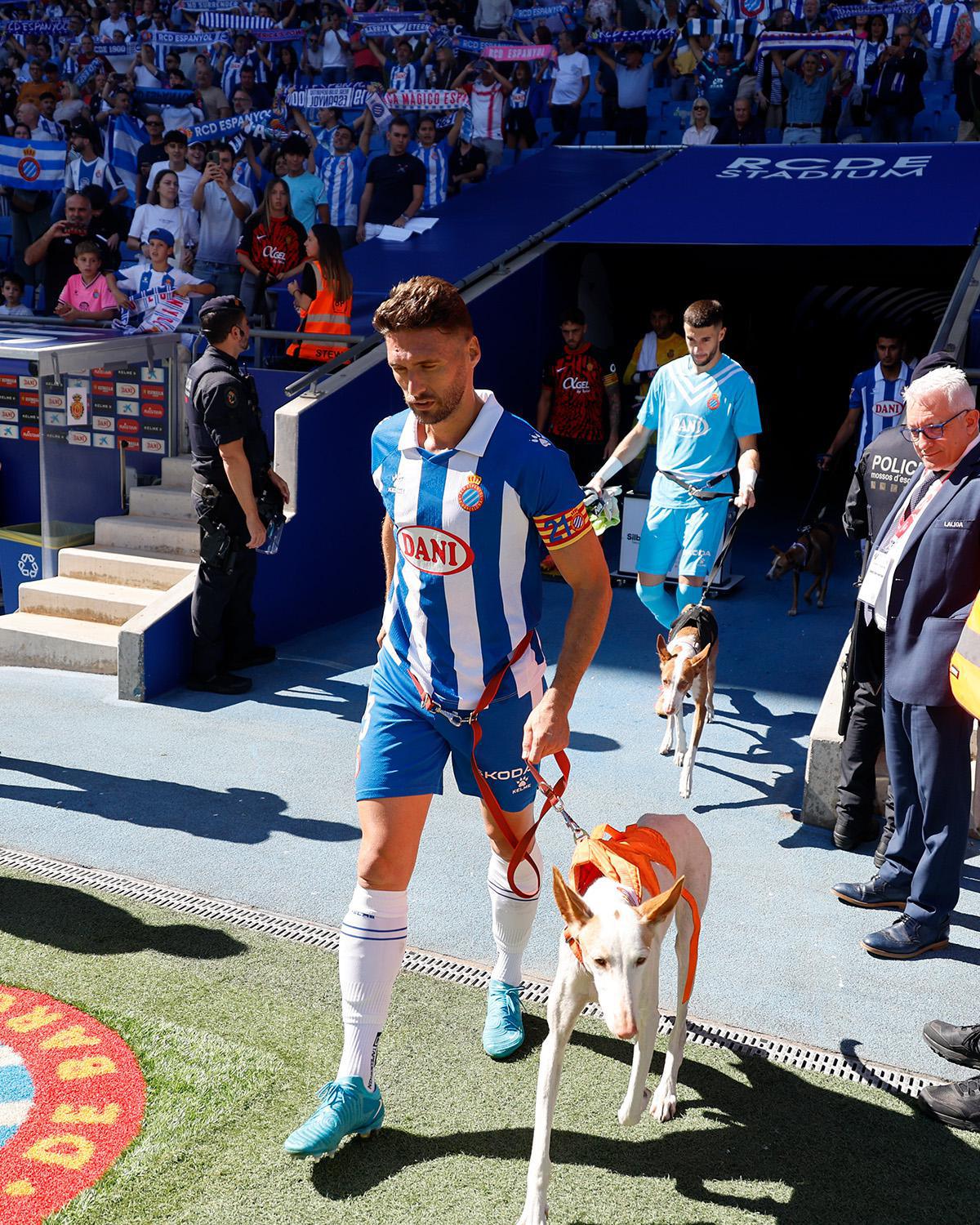 En Espagne, des joueurs de foot entrent sur le terrain avec des chiens abandonnés