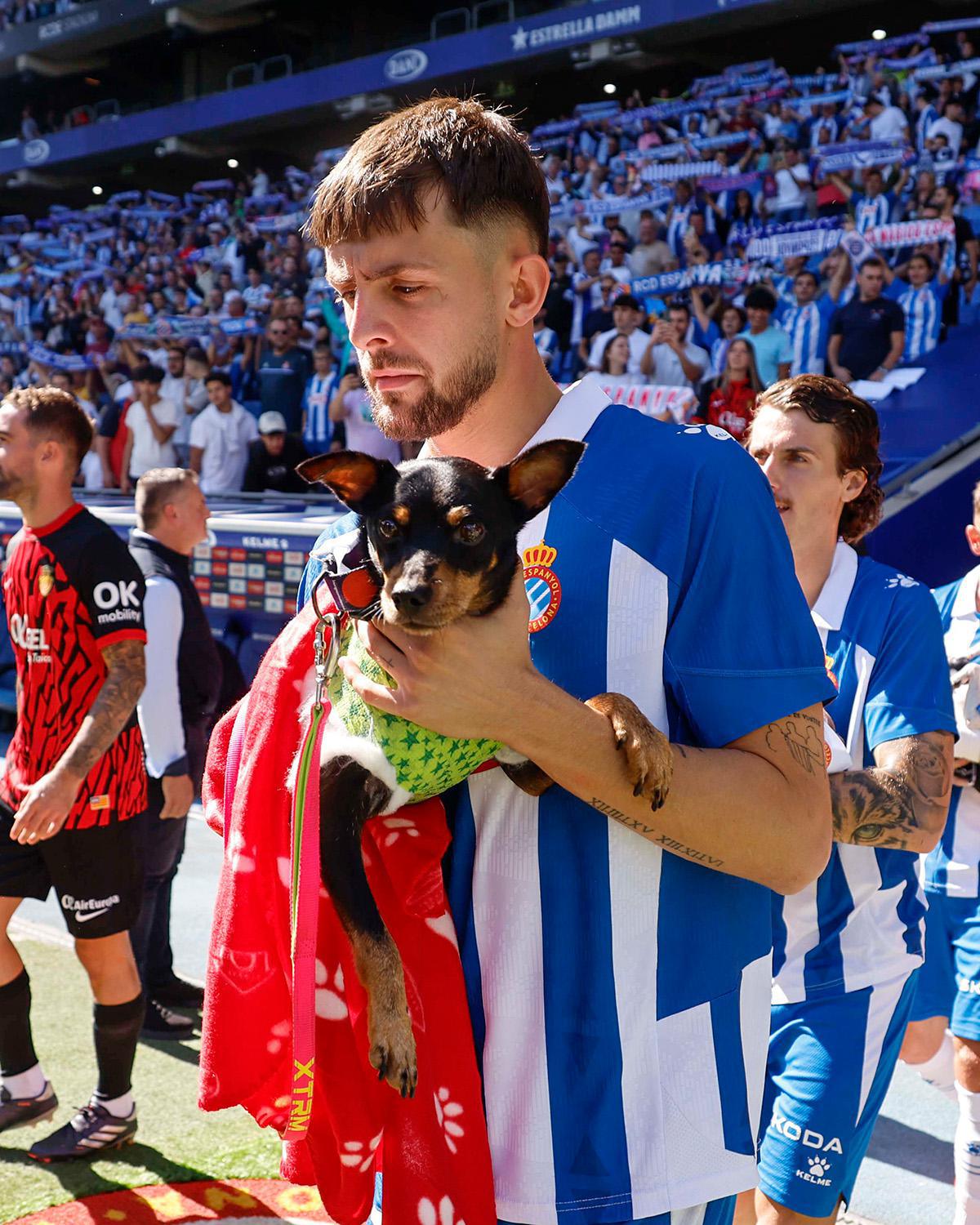 En Espagne, des joueurs de foot entrent sur le terrain avec des chiens abandonnés