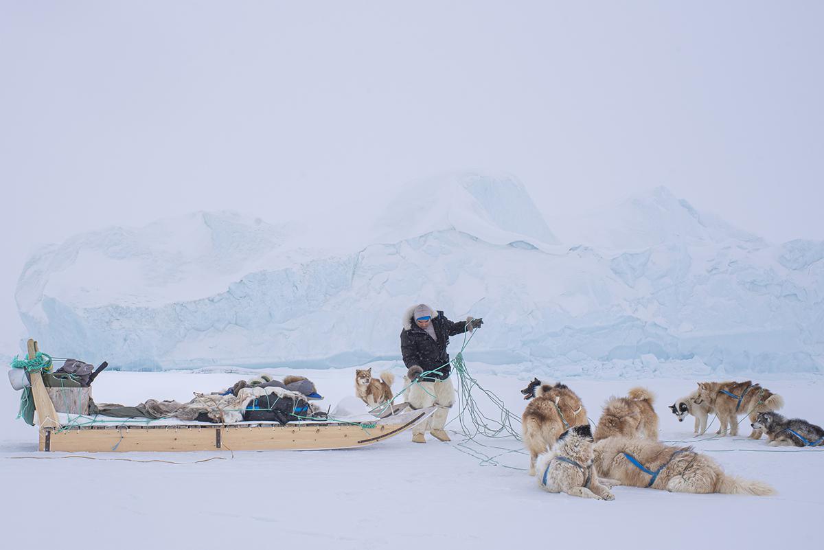 Les sublimes photographies lauréates du Dog Photography Awards 2024