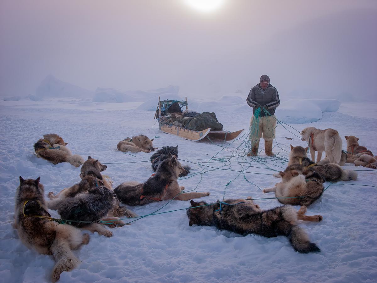 Les sublimes photographies lauréates du Dog Photography Awards 2024