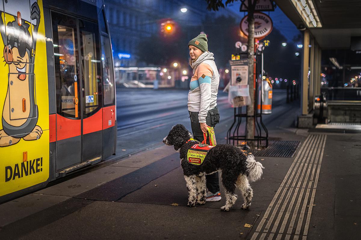 Les sublimes photographies lauréates du Dog Photography Awards 2024