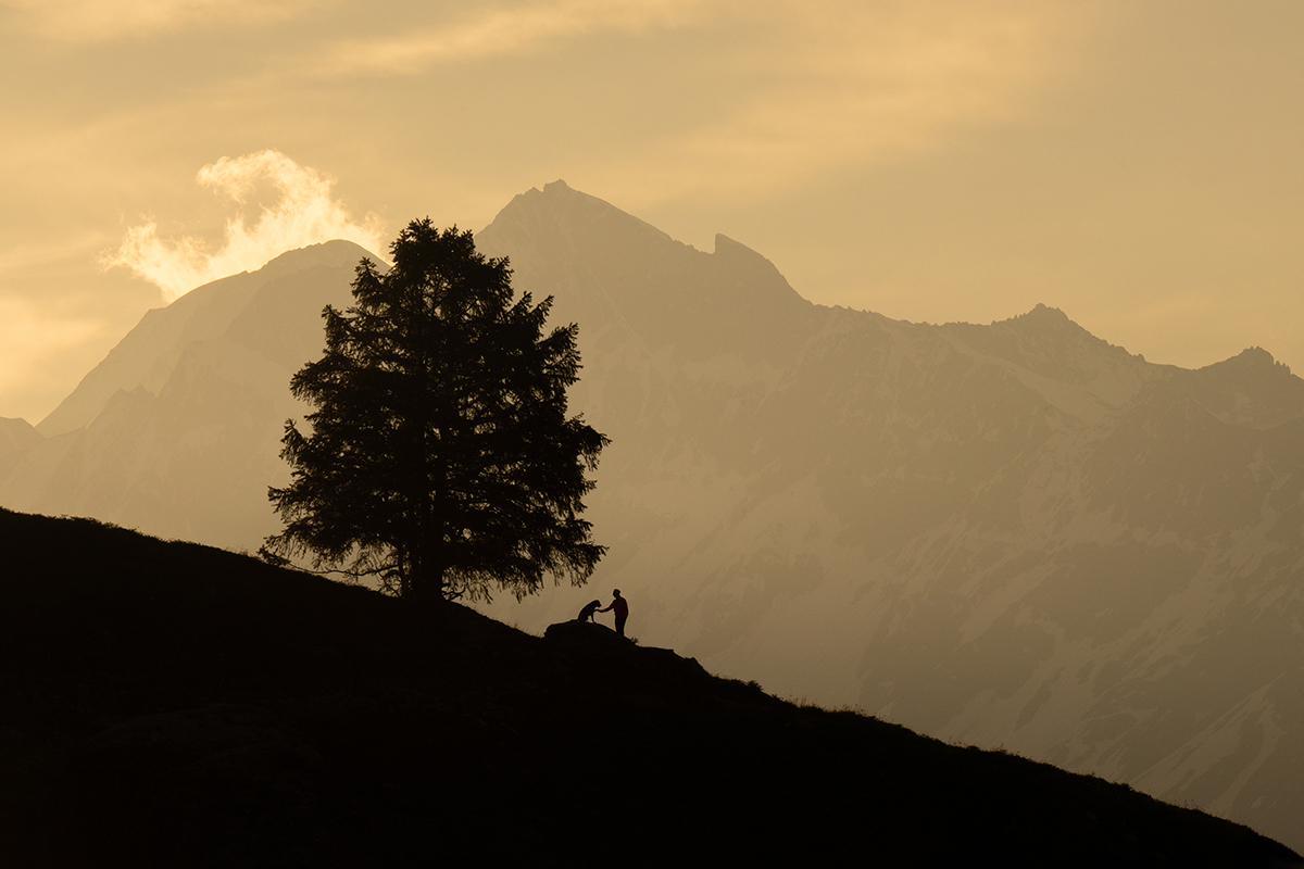 Les sublimes photographies lauréates du Dog Photography Awards 2024