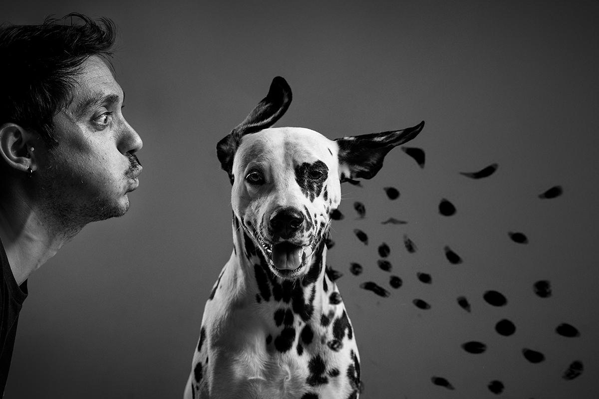 Les sublimes photographies lauréates du Dog Photography Awards 2024