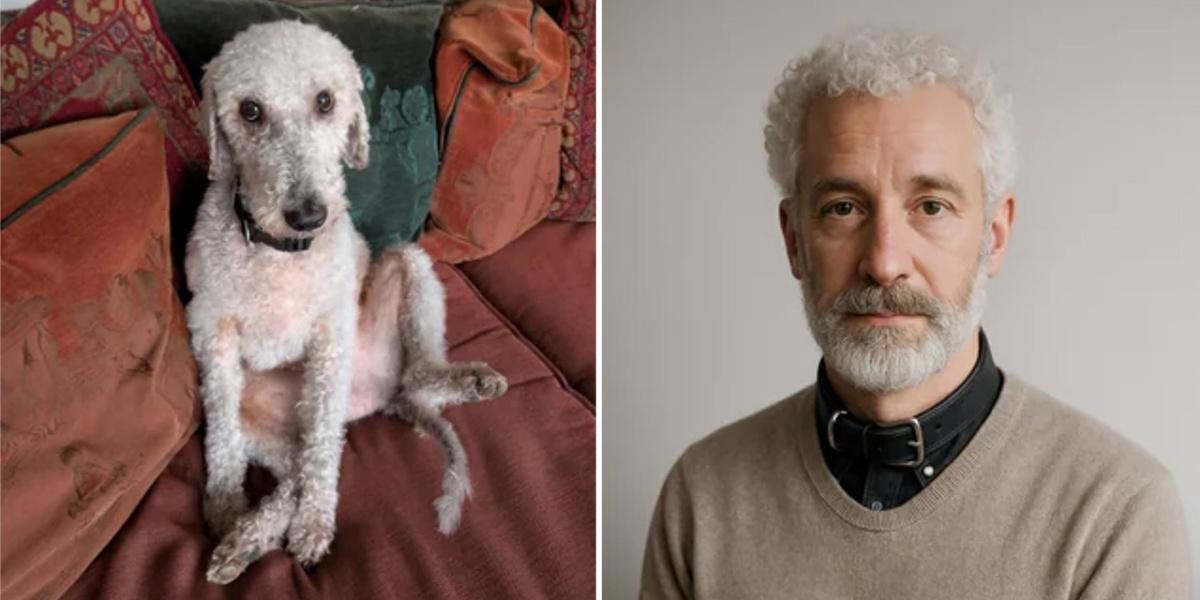 Après la trend Ghibli, ChatGPT transforme votre animal de compagnie en humain Après la trend Ghibli, ChatGPT transforme votre animal de compagnie en humain