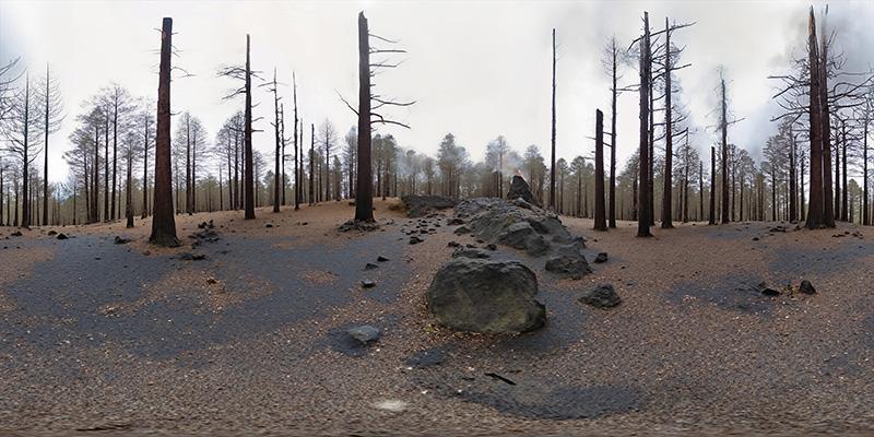 Cette asso détourne le jeu GeoGuessr pour sensibiliser au réchauffement climatique