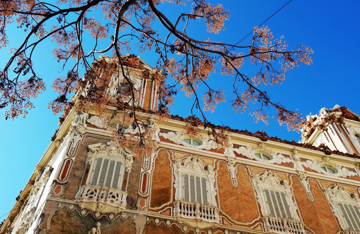 Palace of the Countess Shinsinana Palace of the Countess Shinsinana