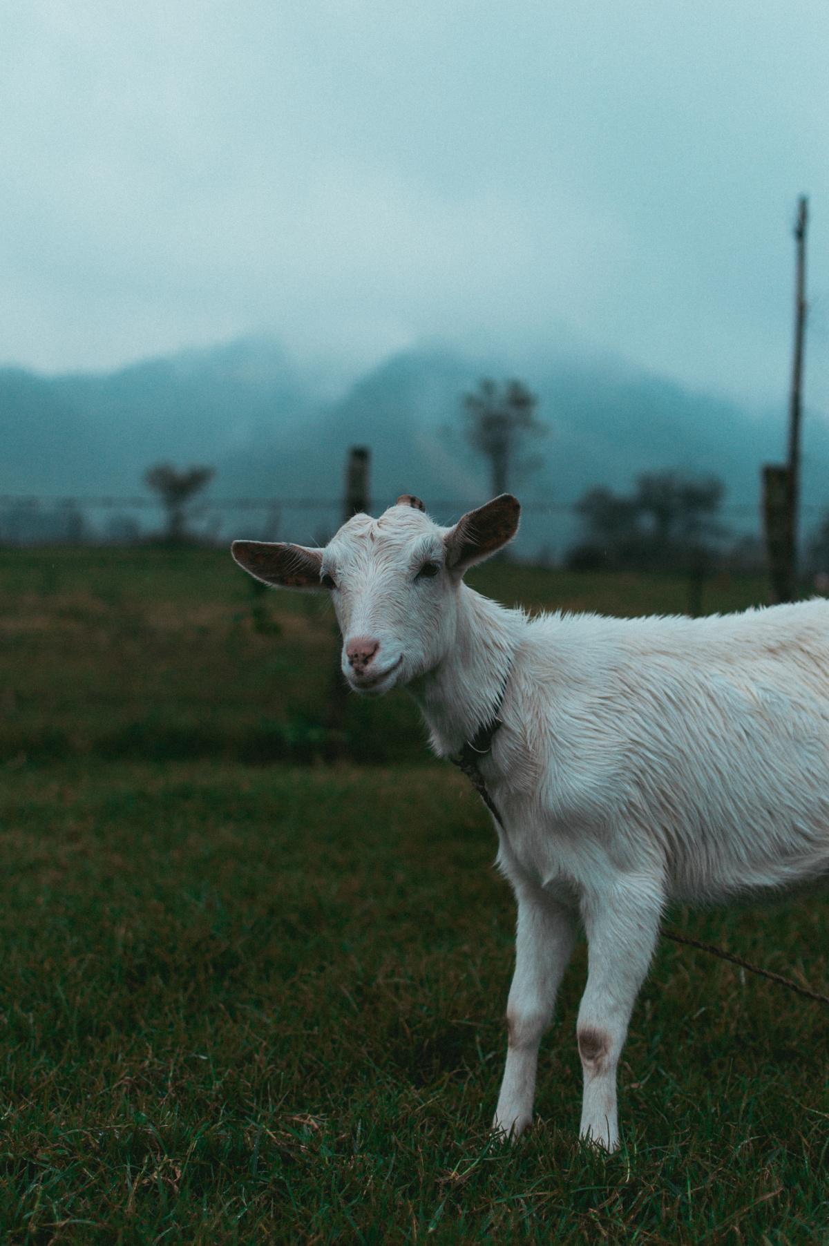 Emerald Insight: Unleashing Your Potential for Success Emerald Insight: Unleashing Your Potential for Success