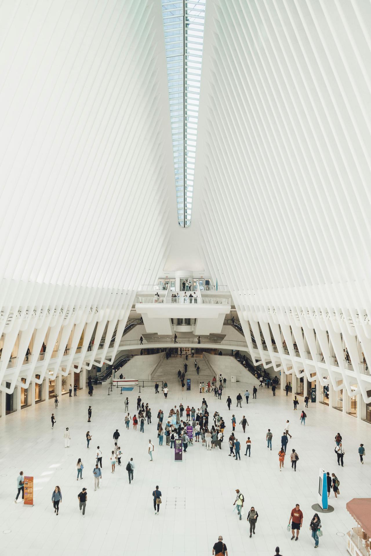 pexels-gonzalo-mendiola-18667107