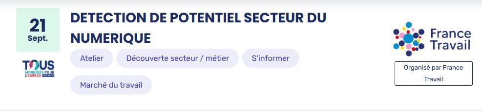 DETECTION DE POTENTIEL SECTEUR DU NUMERIQUE