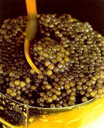 Le BLMA vous convie à un festin de roi