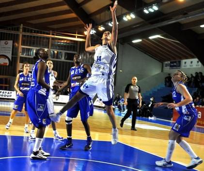 Basket-Landes haché menu