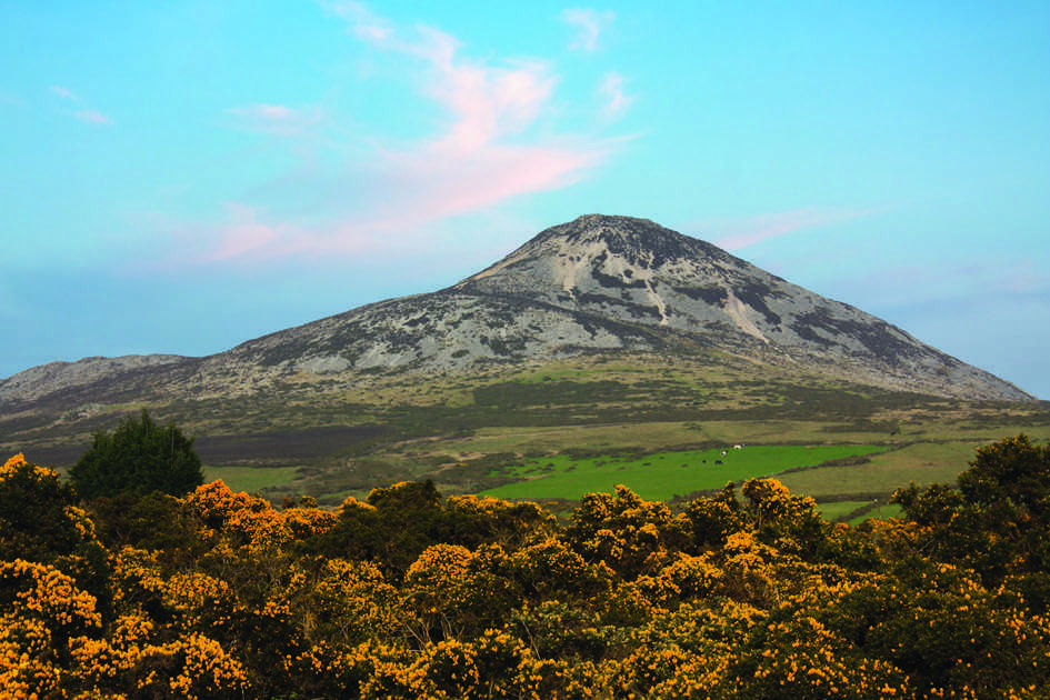 Greystones Fast Facts